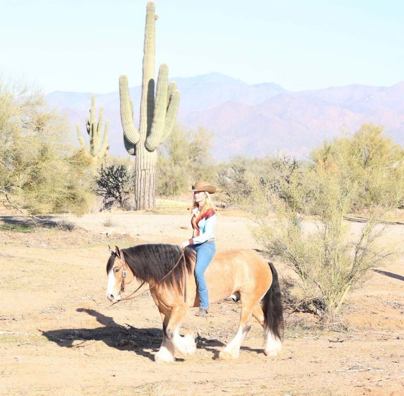 April, a 9-year-old Buckskin Gypsy Vanner gelding for sale