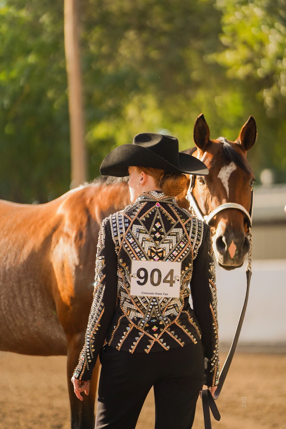 Horse and ranch photography at Equine Horses Ranch