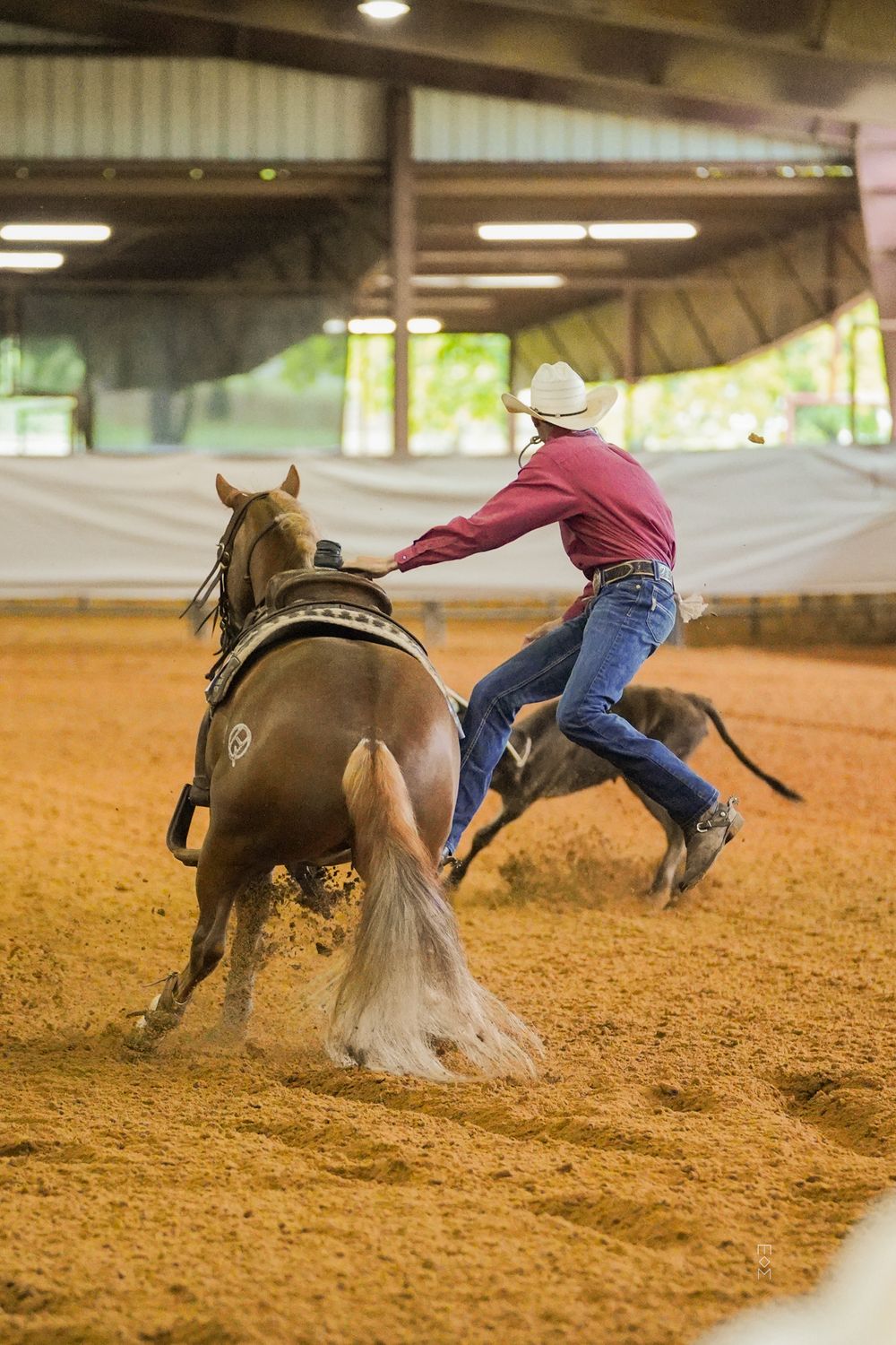 Horse and ranch photography at Equine Horses Ranch