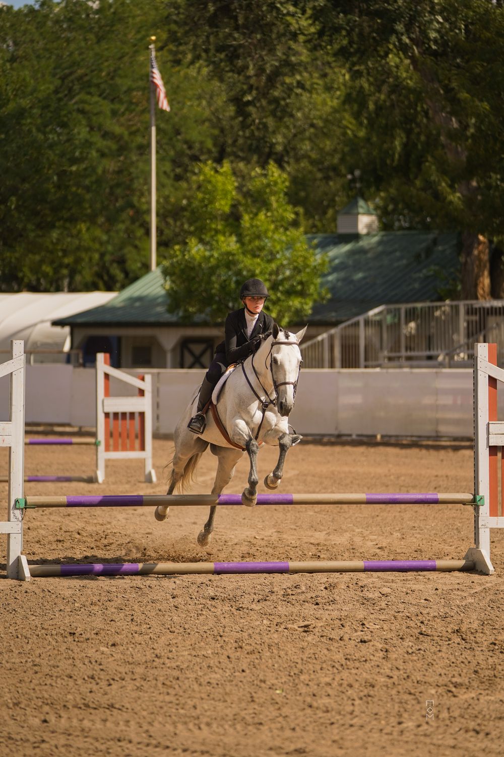 Horse and ranch photography at Equine Horses Ranch