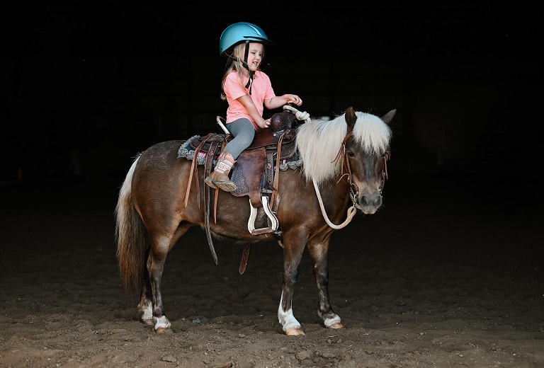 Ashanti, a 9-year-old Grulla Pony mare for sale