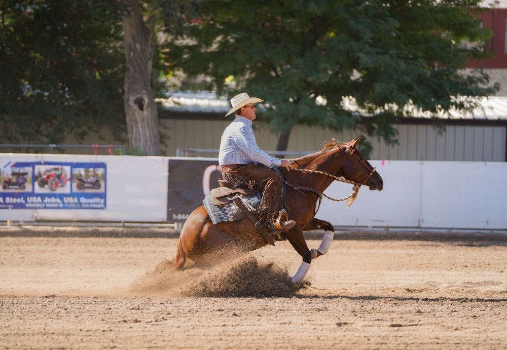 Horse and ranch photography at Equine Horses Ranch