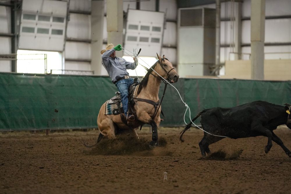 Horse and ranch photography at Equine Horses Ranch